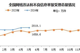 突尼斯唯一的NBA球员！37岁前独行侠中锋梅杰里正式宣布退役